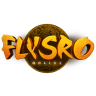 flysro.online